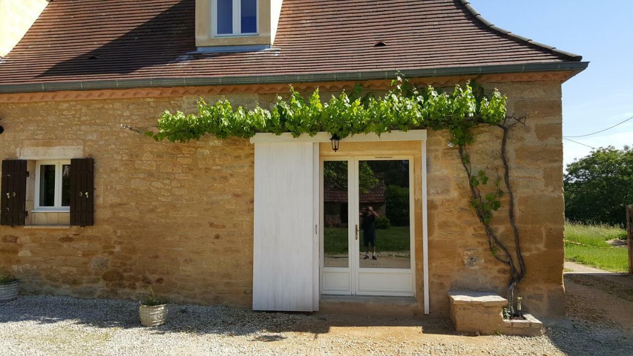 Domaine De Manilau Villa Le Buisson-de-Cadouin ภายนอก รูปภาพ